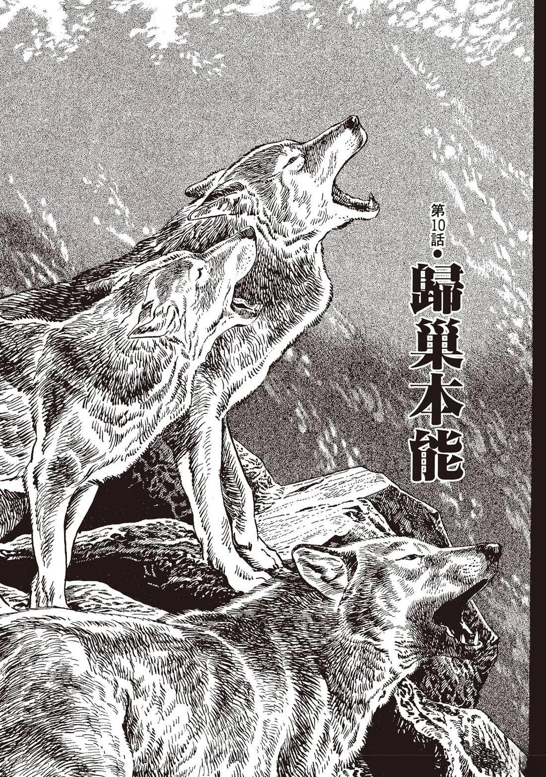 第1卷241