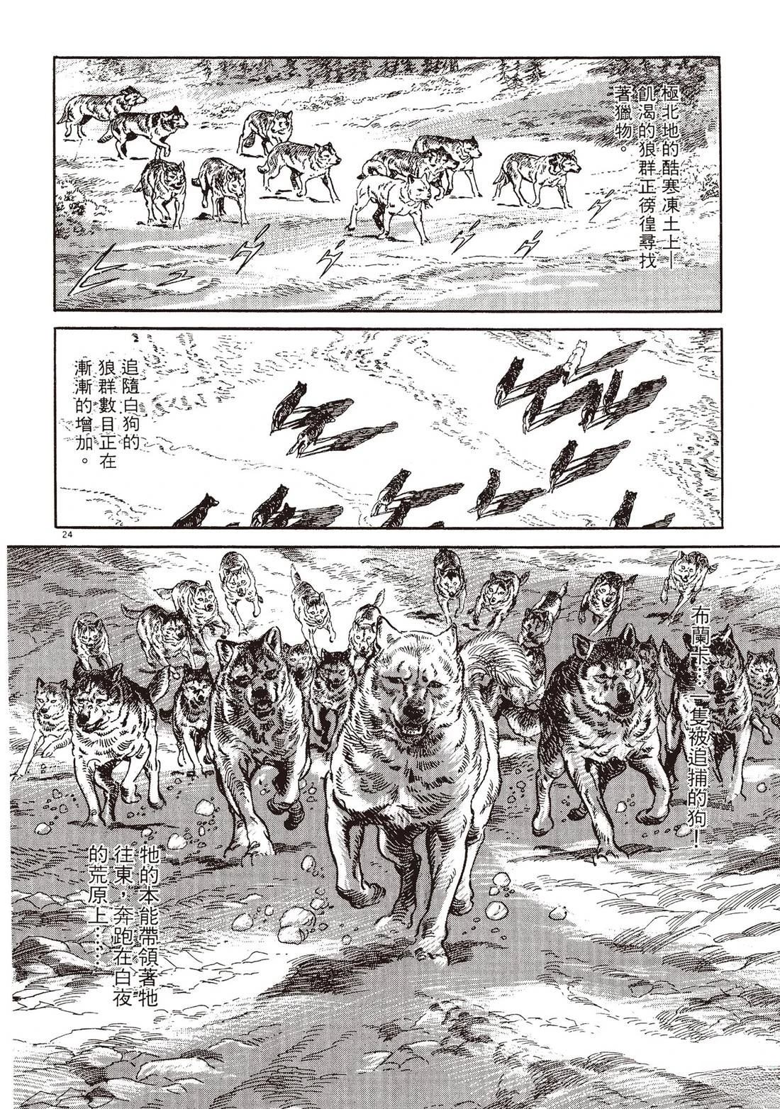 第1卷26