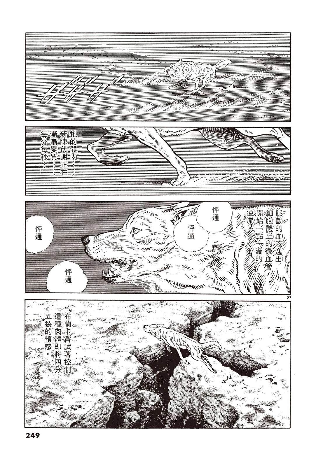 第2卷247