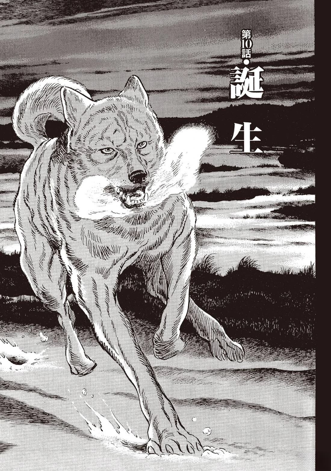 第2卷253