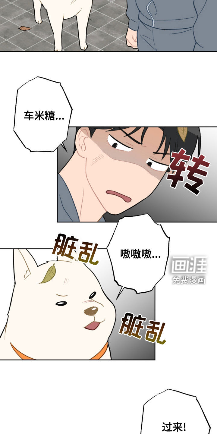 第110话16
