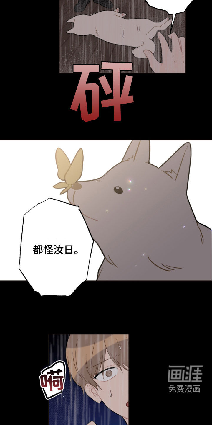 第104话7