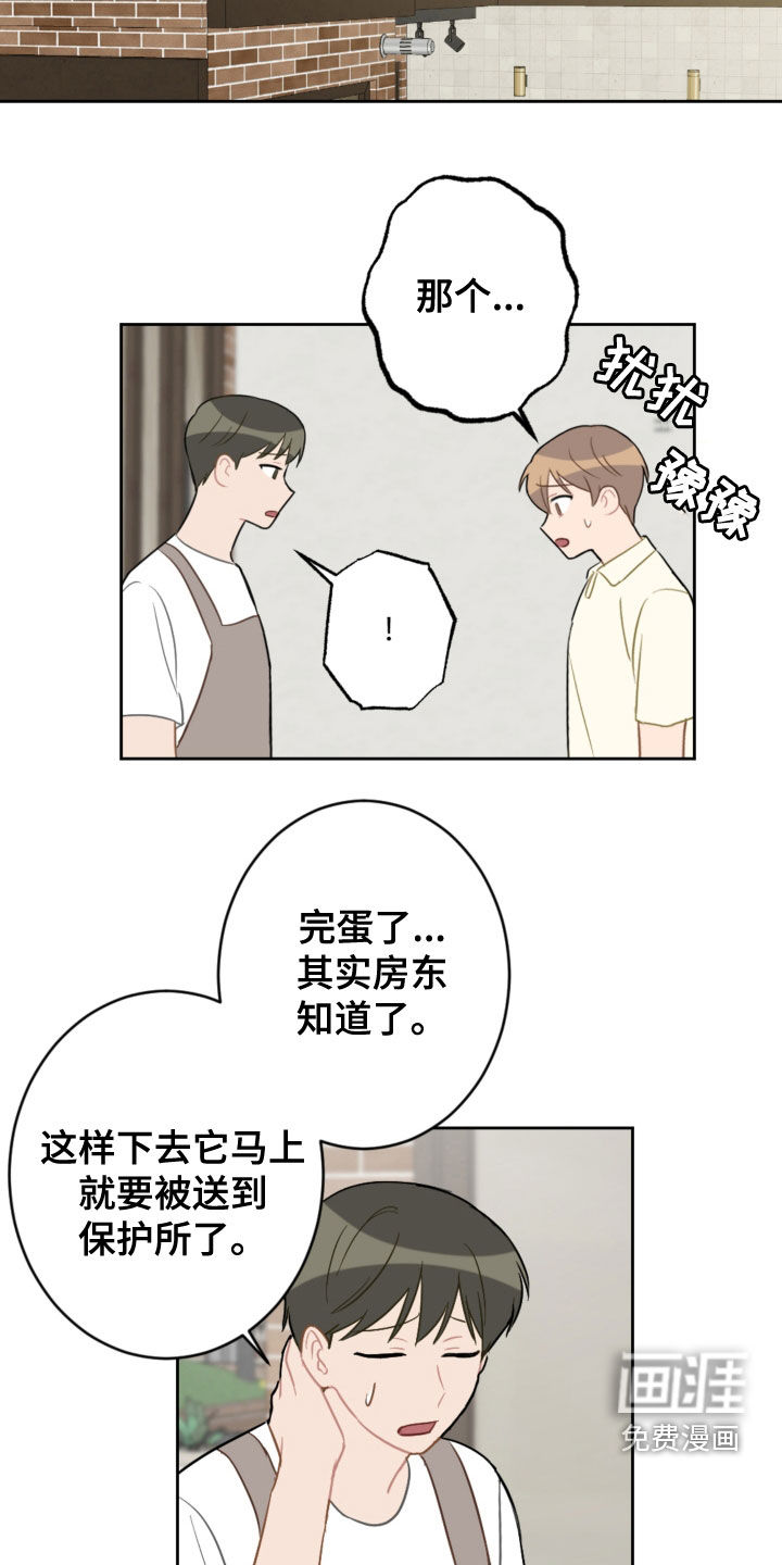 第100话11