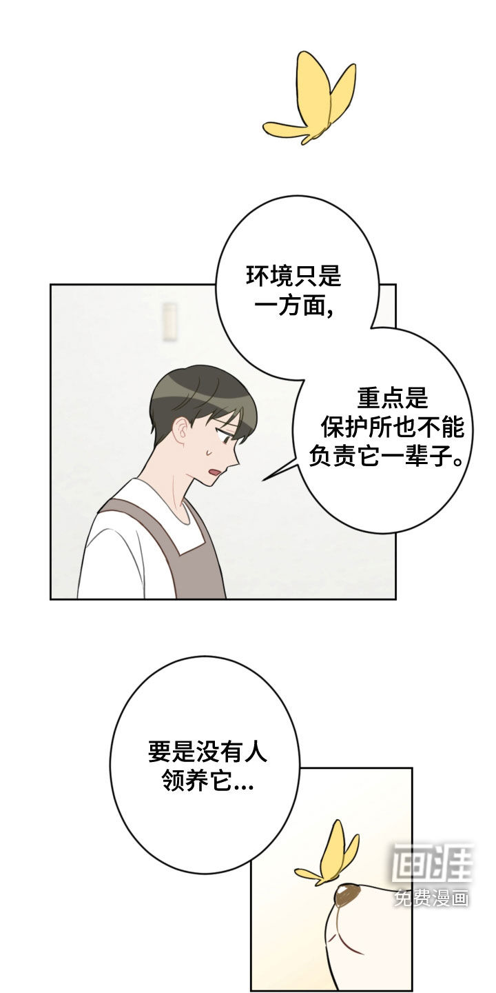 第100话13