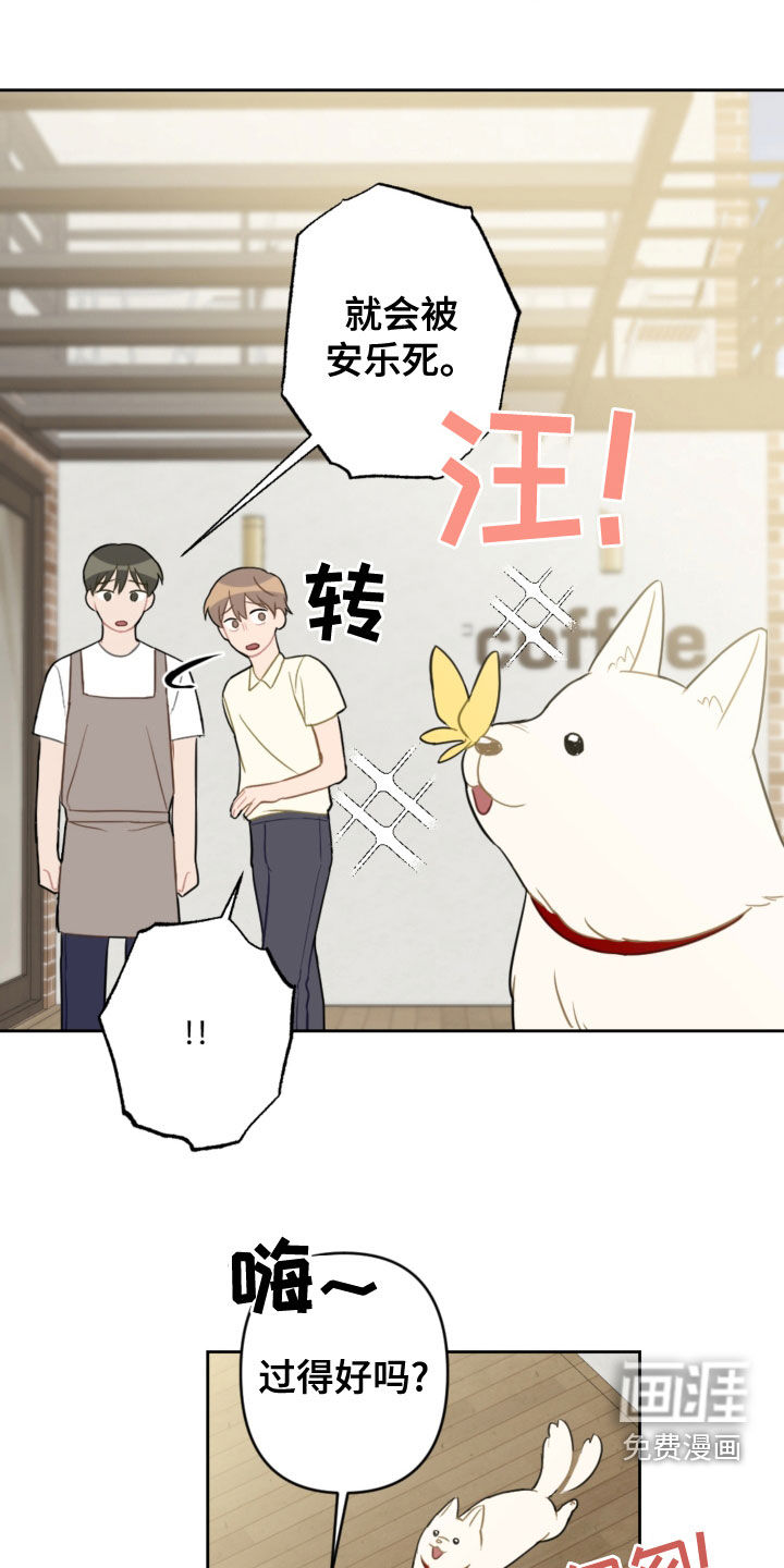 第100话14