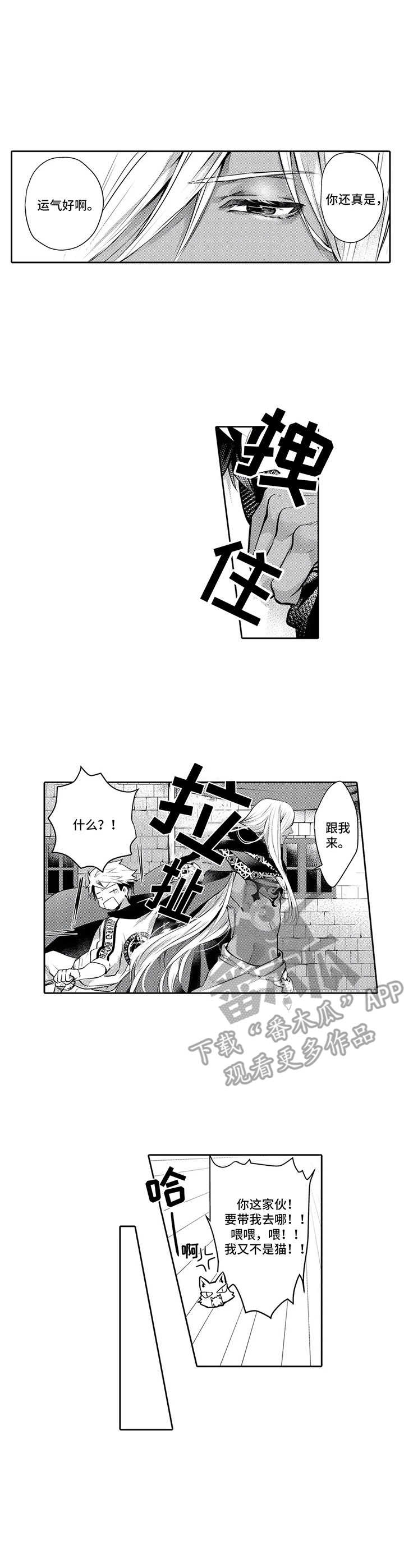 第13话6