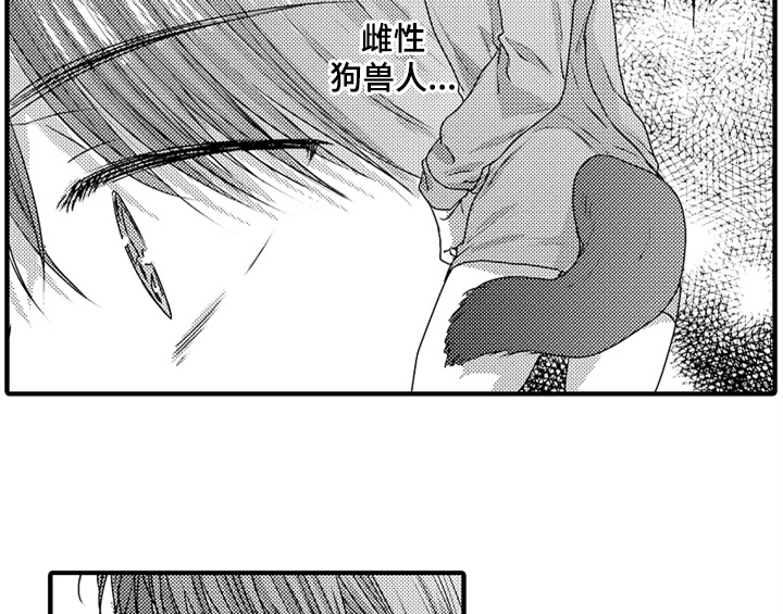 第7话3