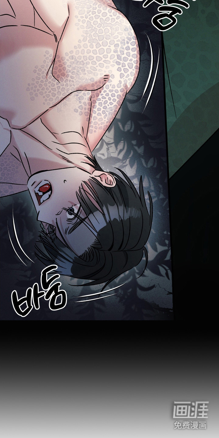 第9话15