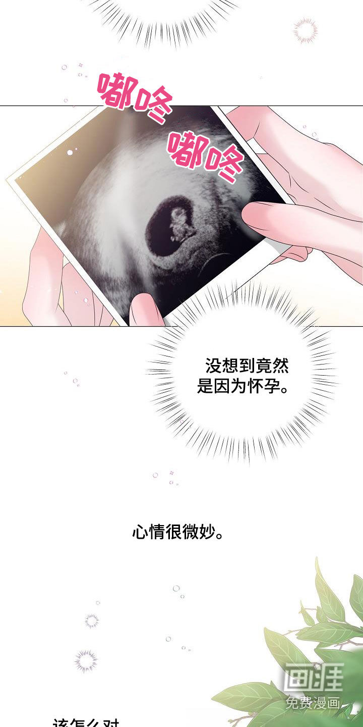 第53话14