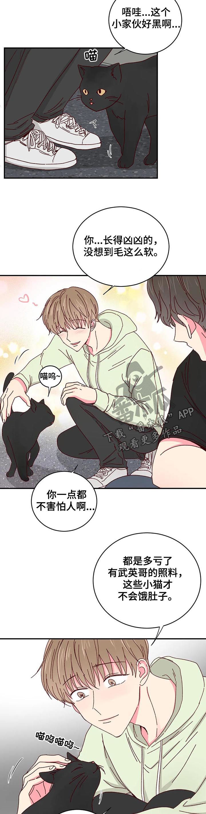 第29话8
