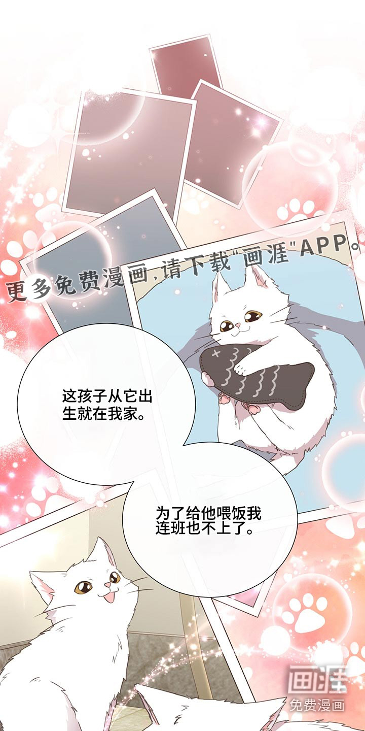 第62话0