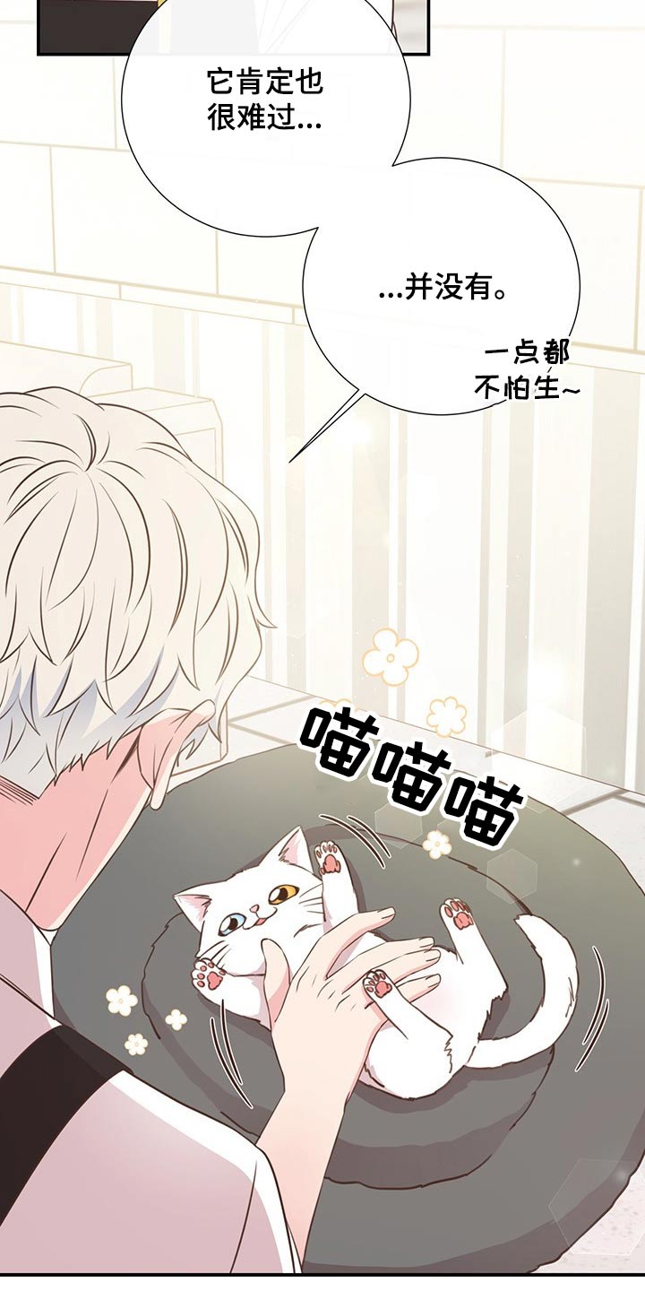 第51话10