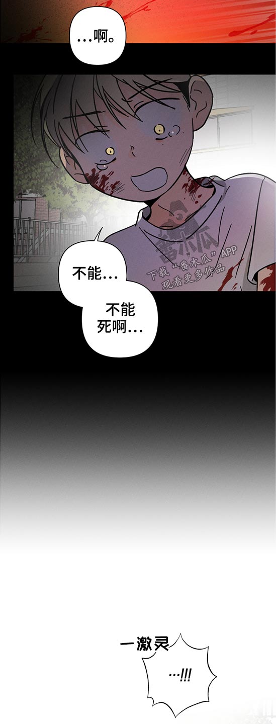 第49话5
