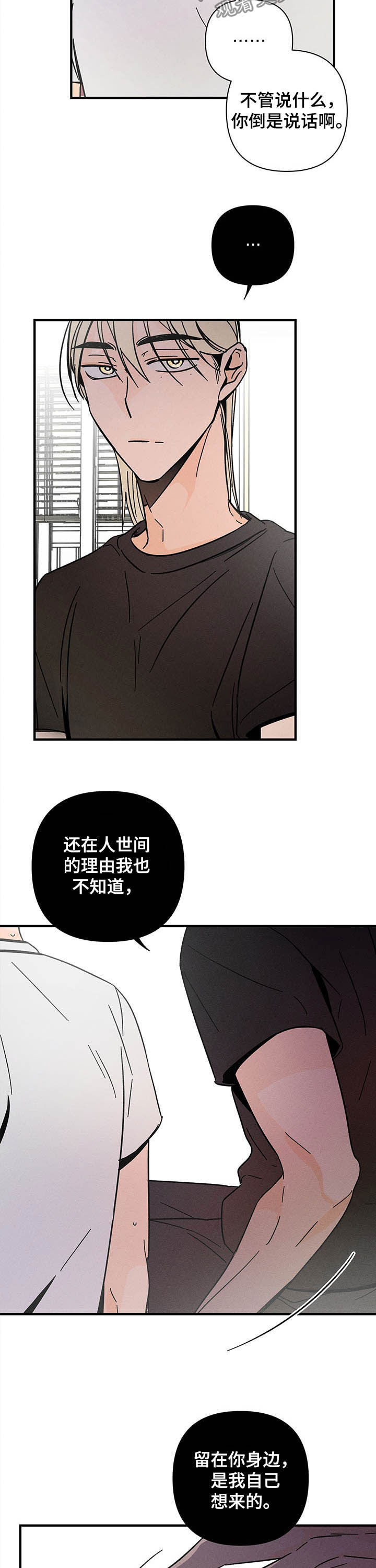 第25话8