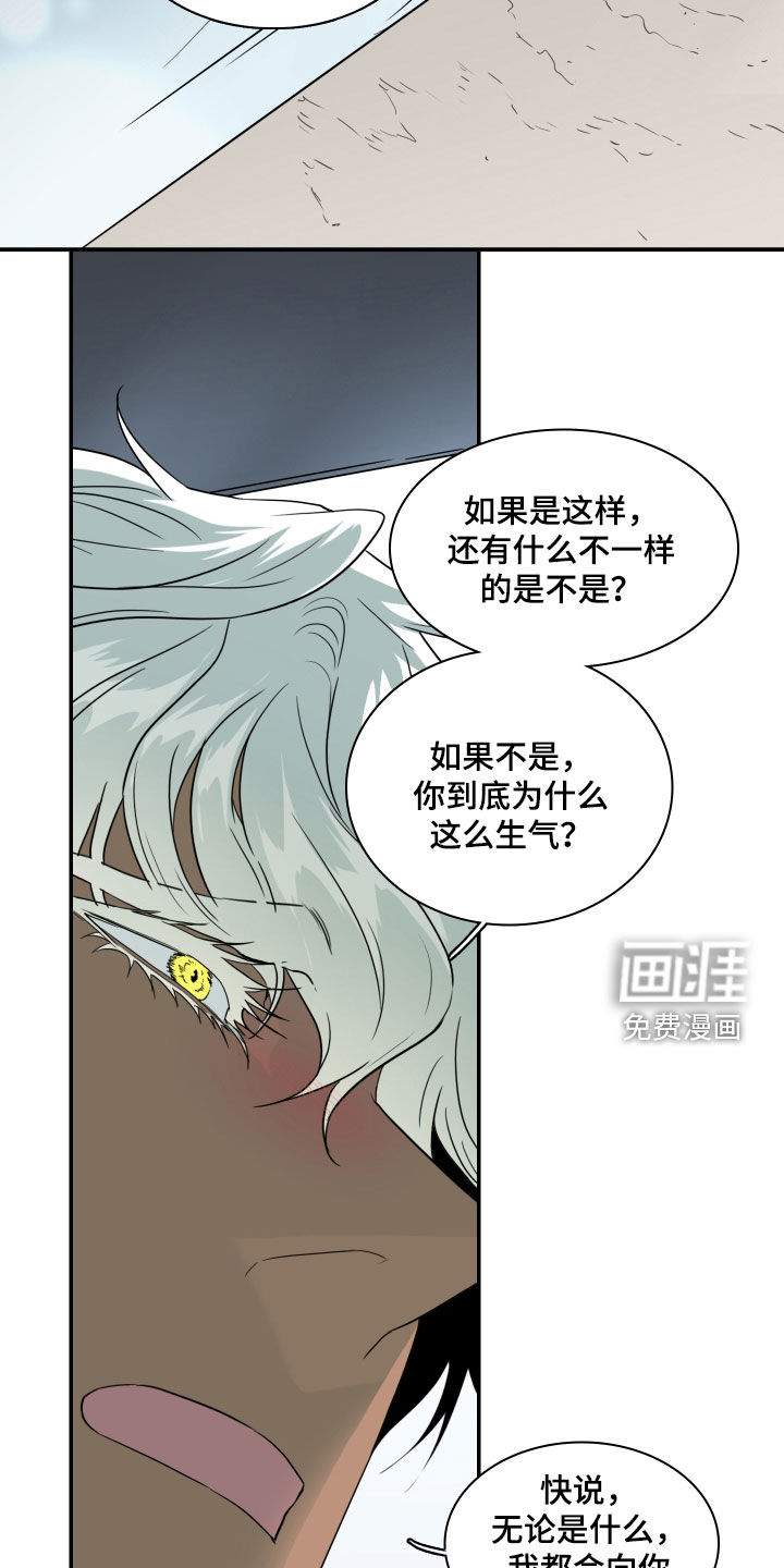 第309话11