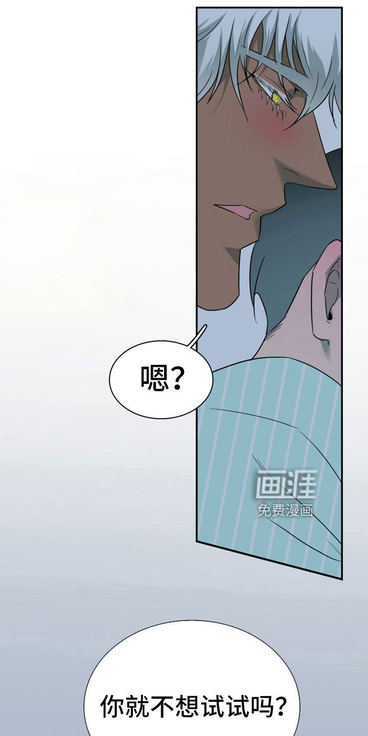 第307话5