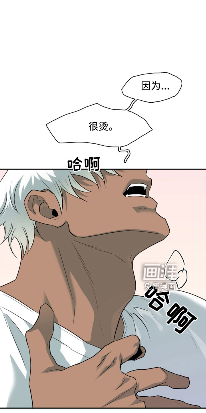第306话1
