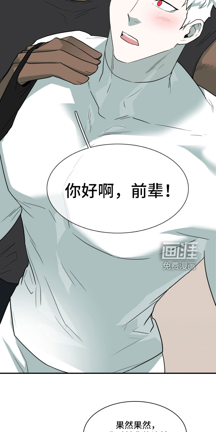 第300话11