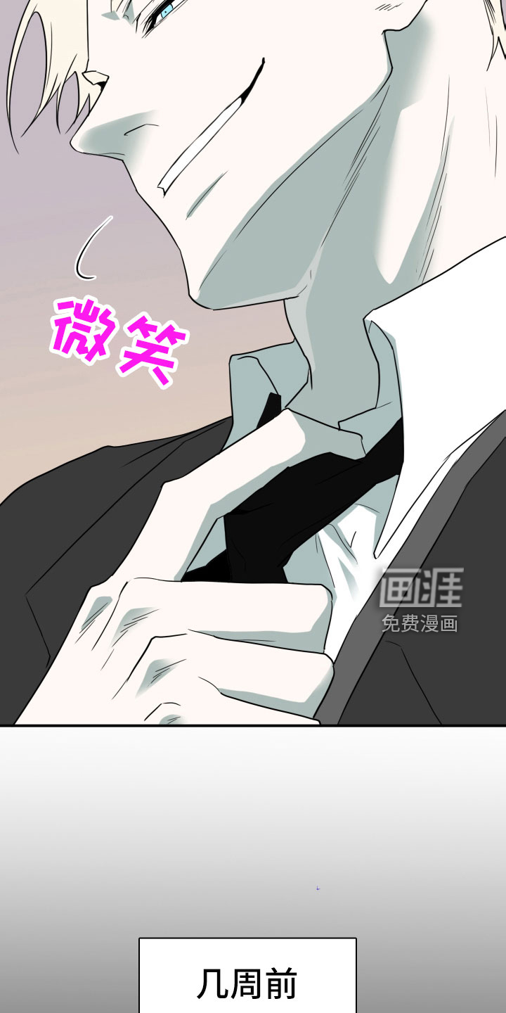 第300话14