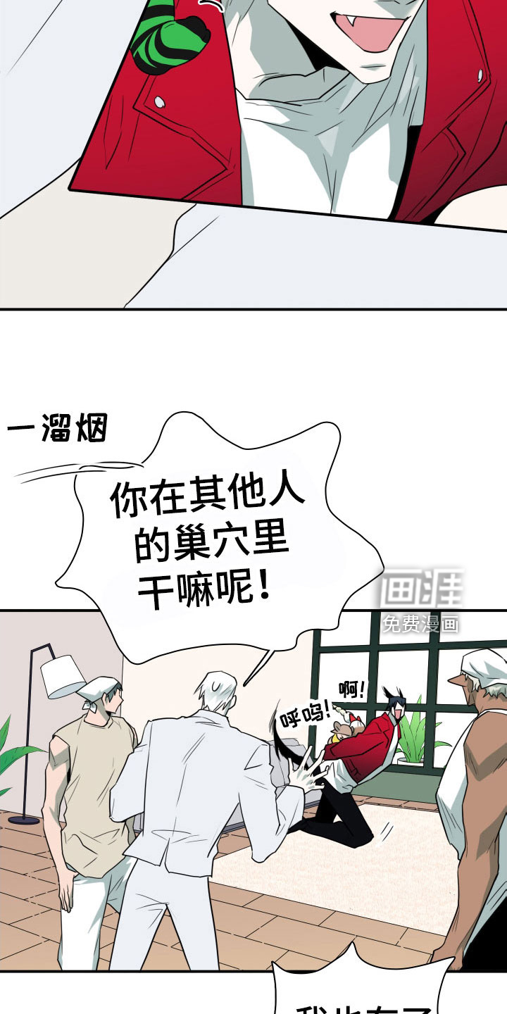 第292话11