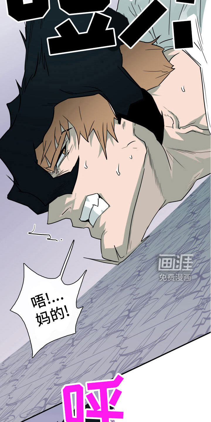 第285话14