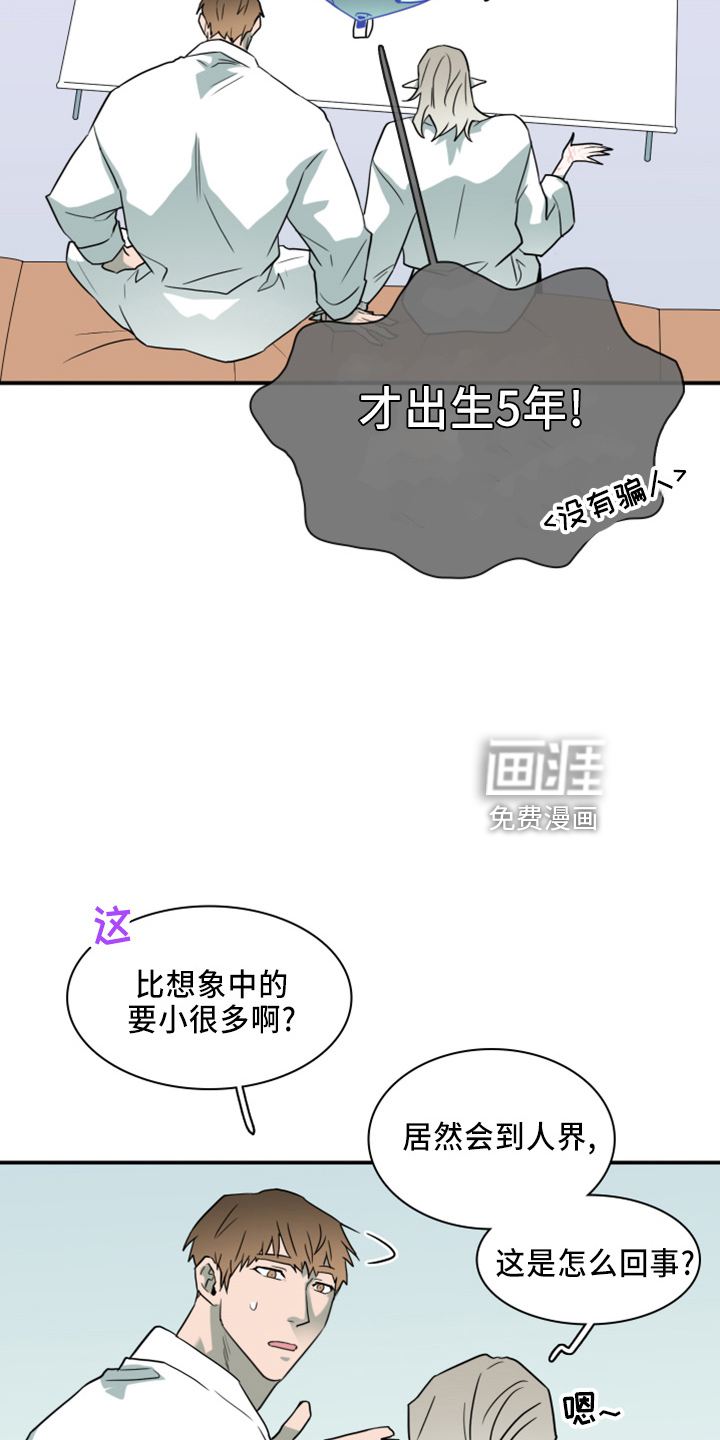 第271话11