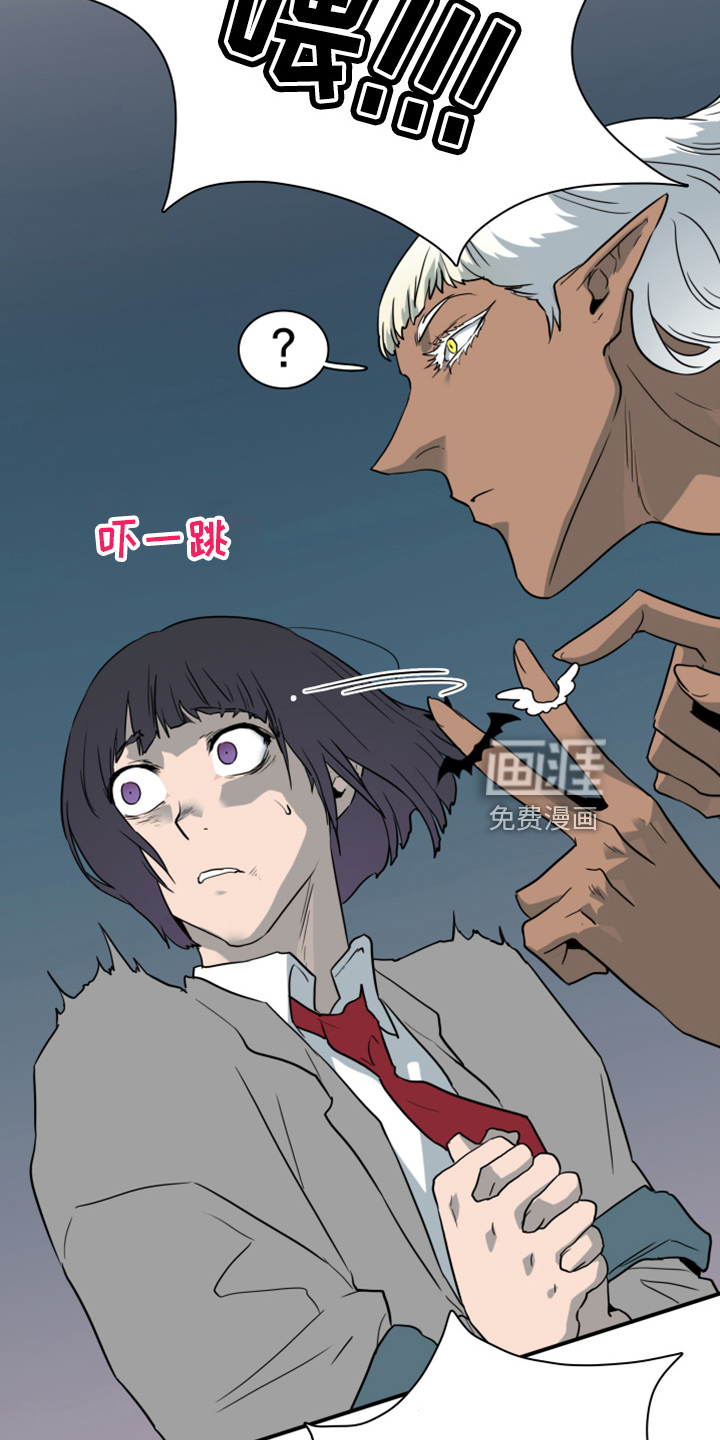 第269话1