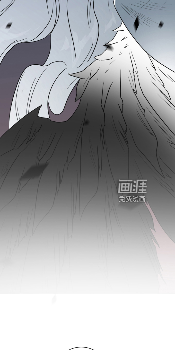 第269话19