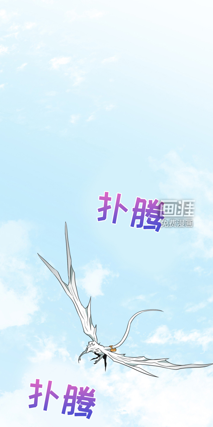 第255话18
