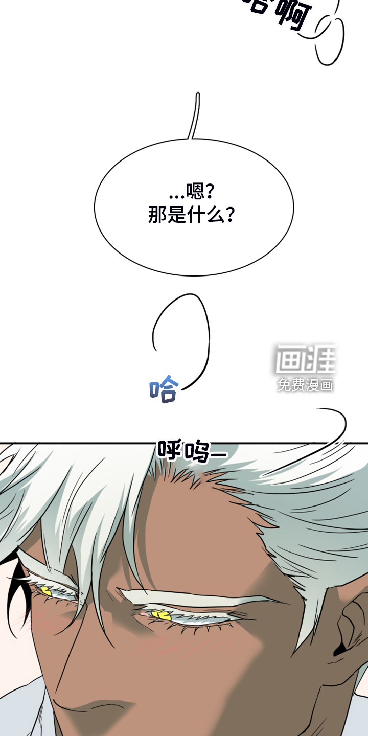 第251话24