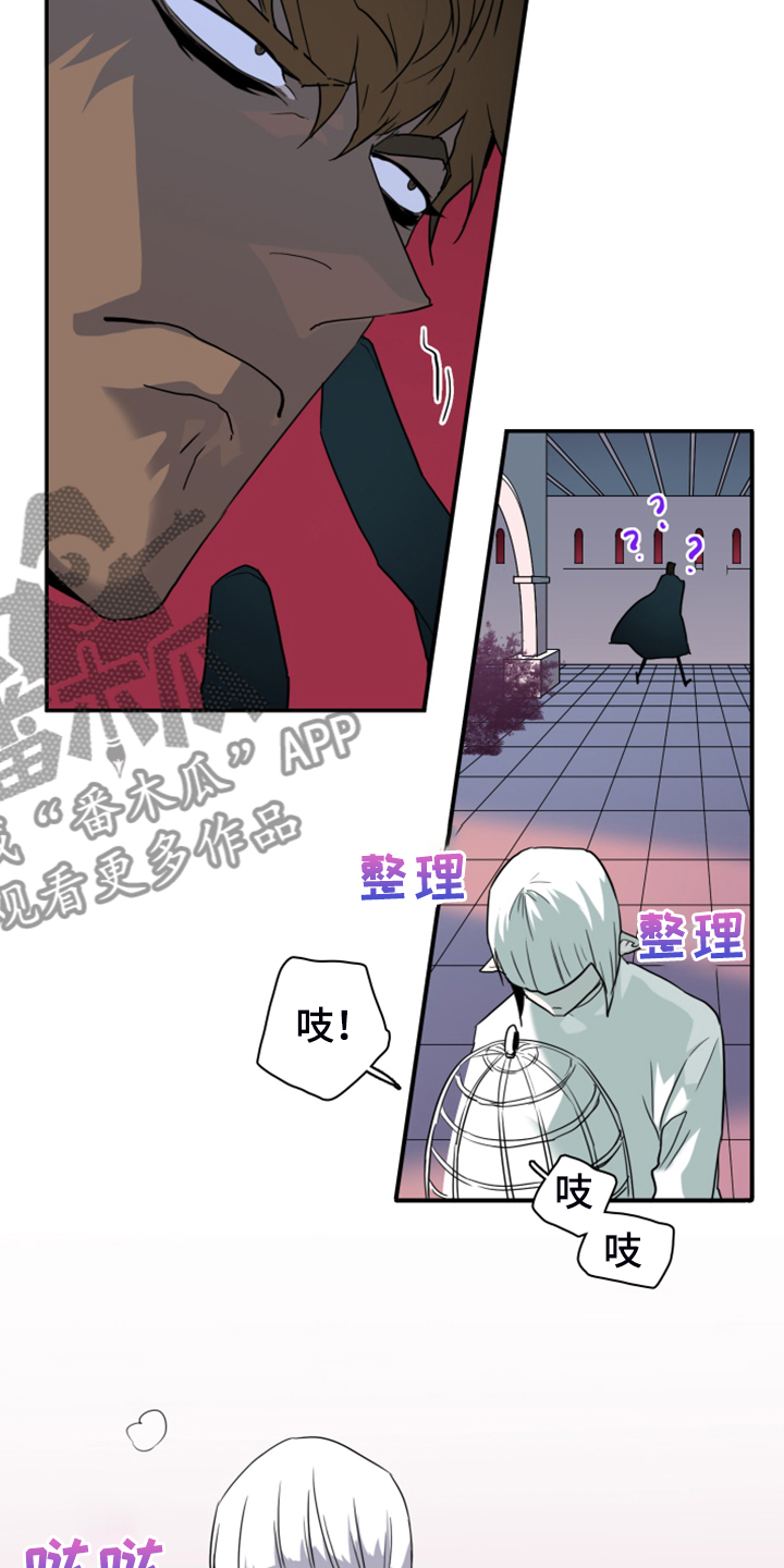 第247话33