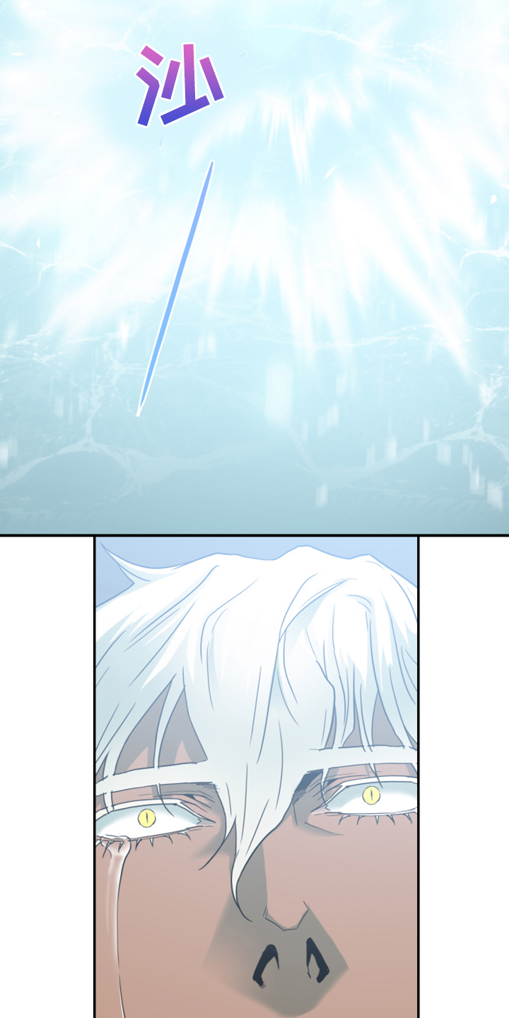 第246话11