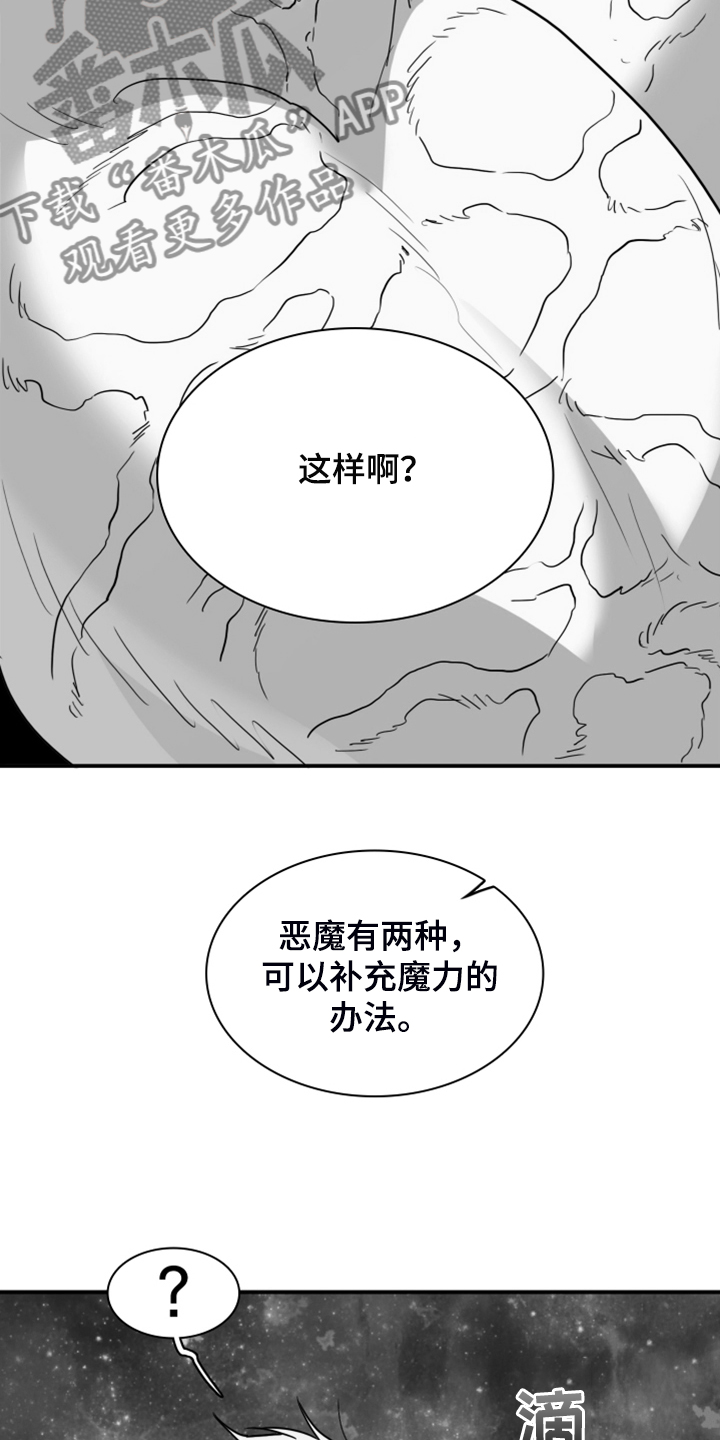 第242话11