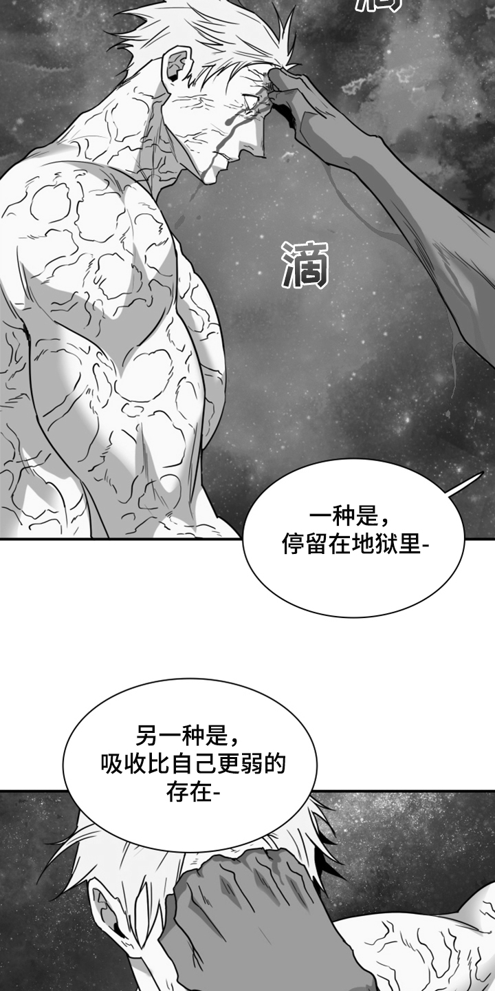 第242话12