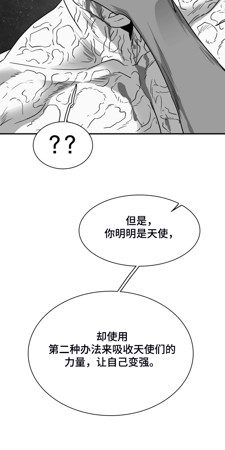 第242话13
