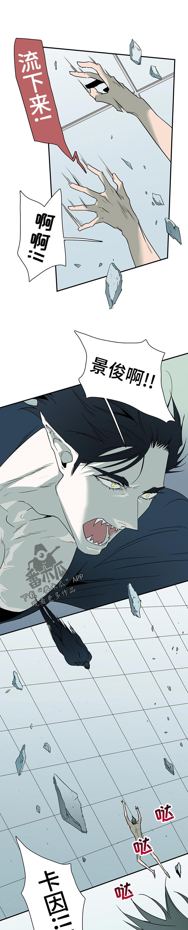 第195话0