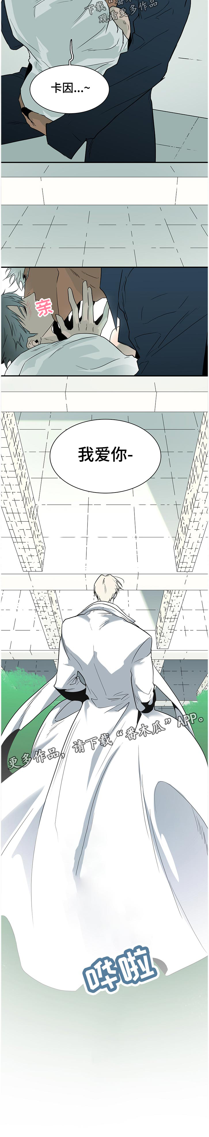 第185话11