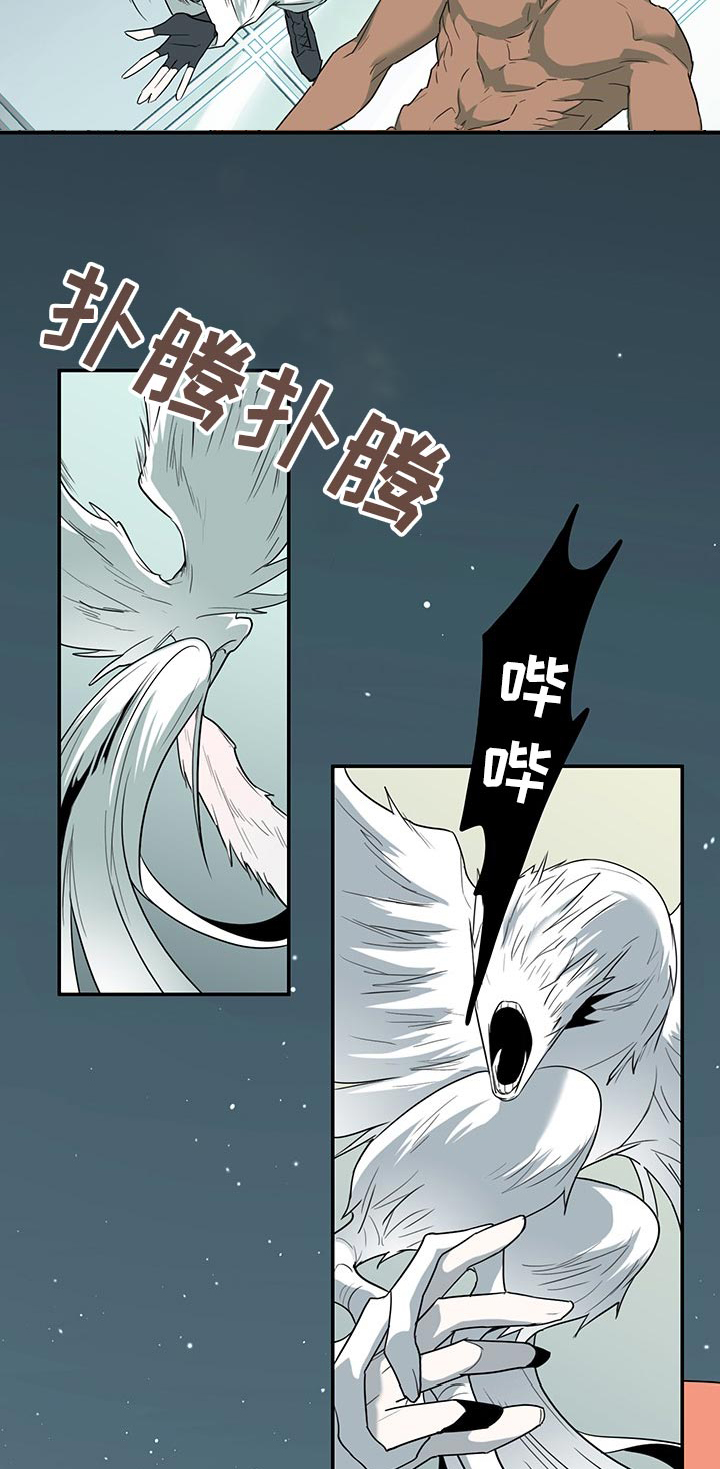 第164话3