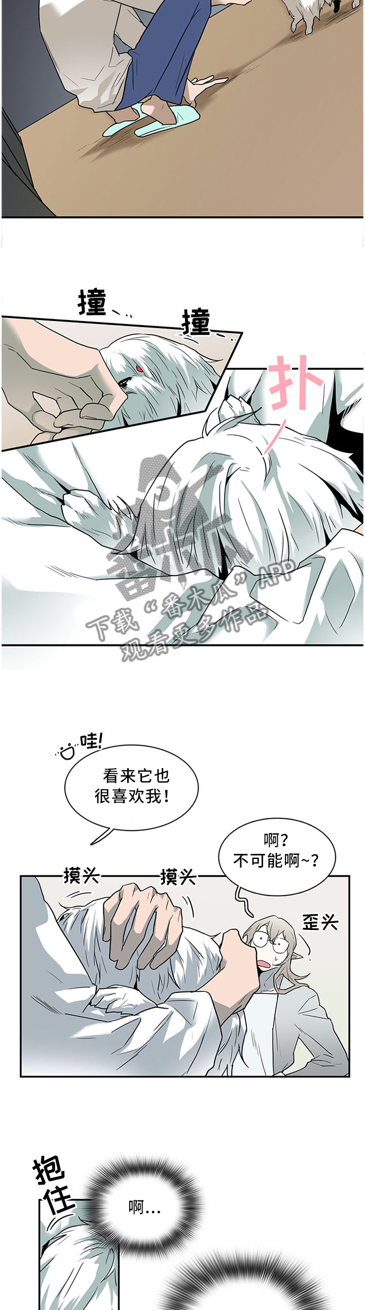 第120话6