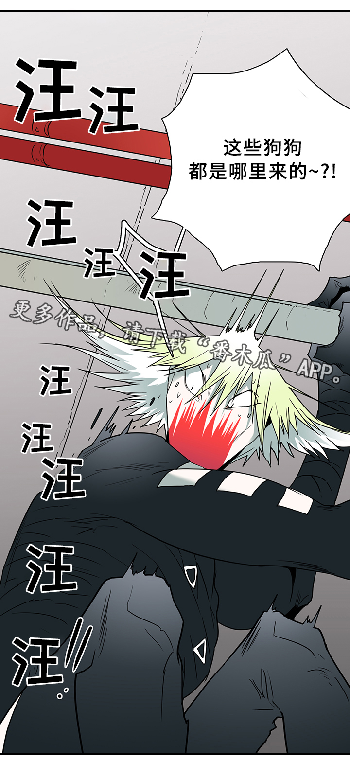 第101话10