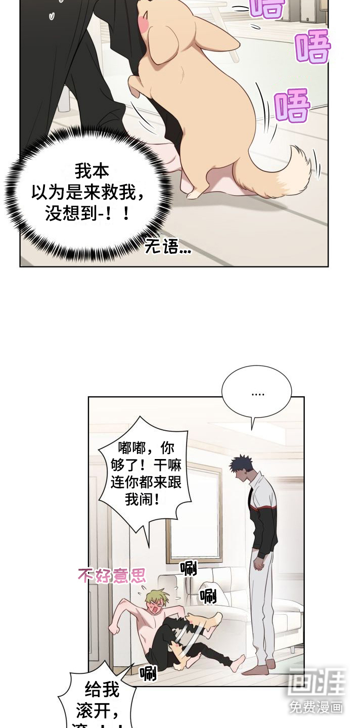 第5话1