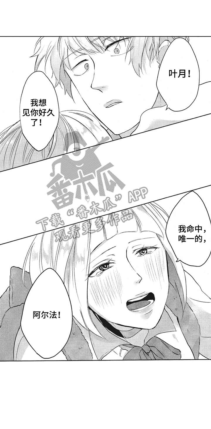 第31话17