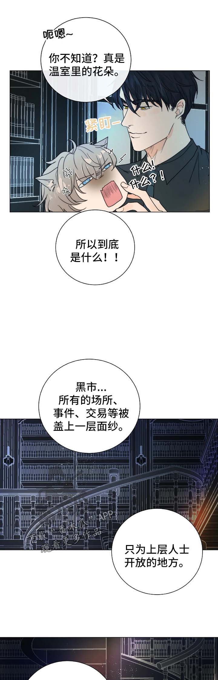 第33话8