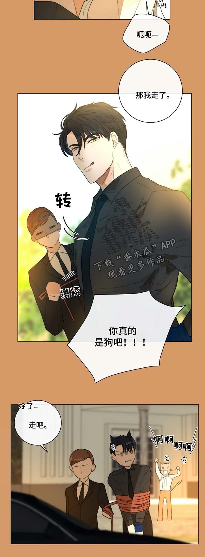 第19话5