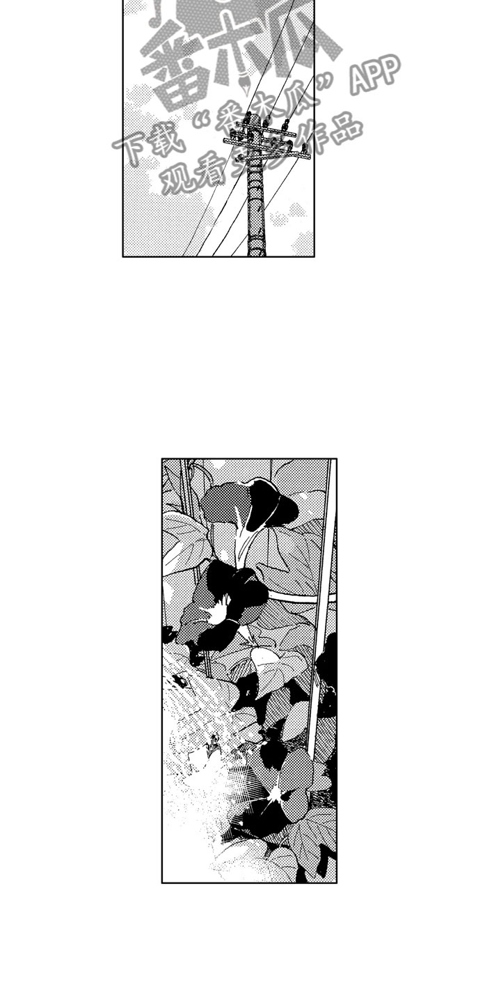 第11话15