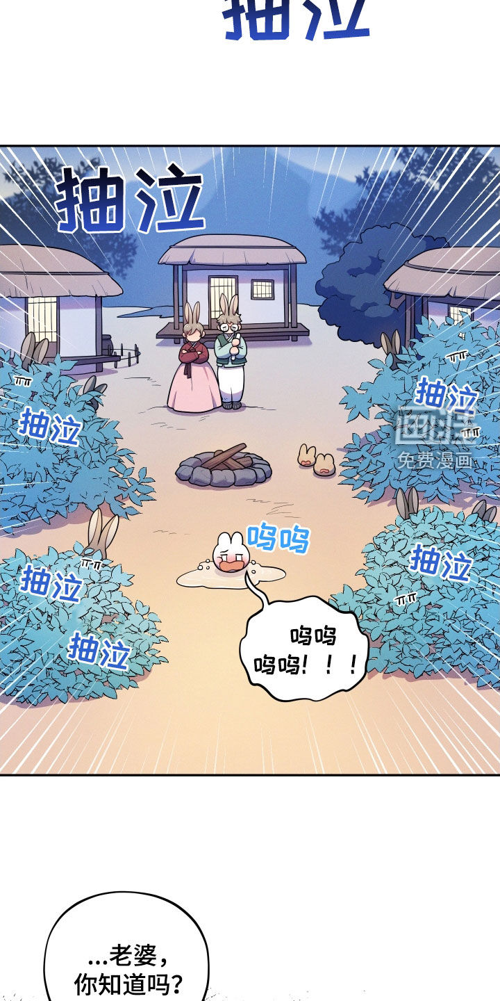 第14话17