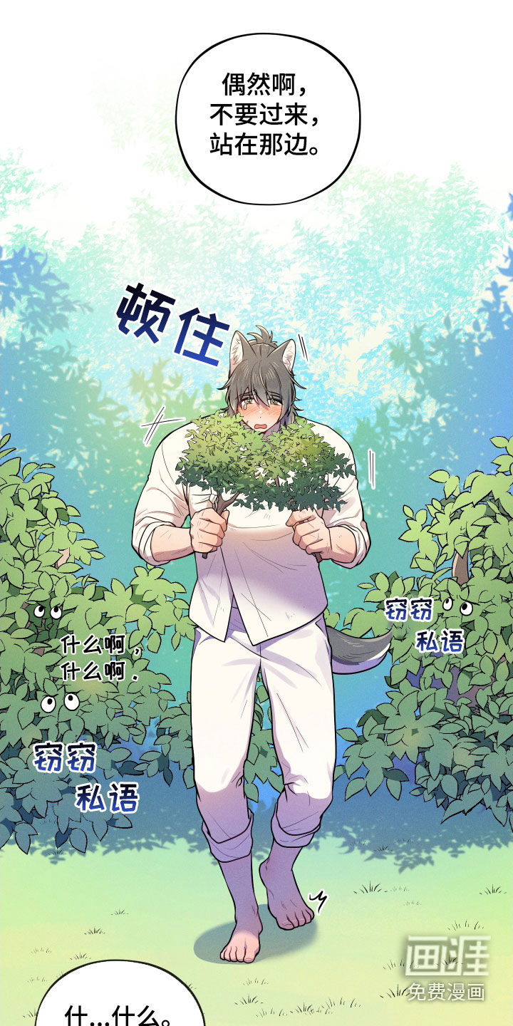 第11话0