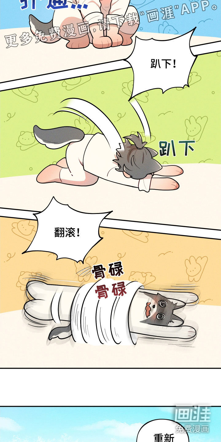 第11话6