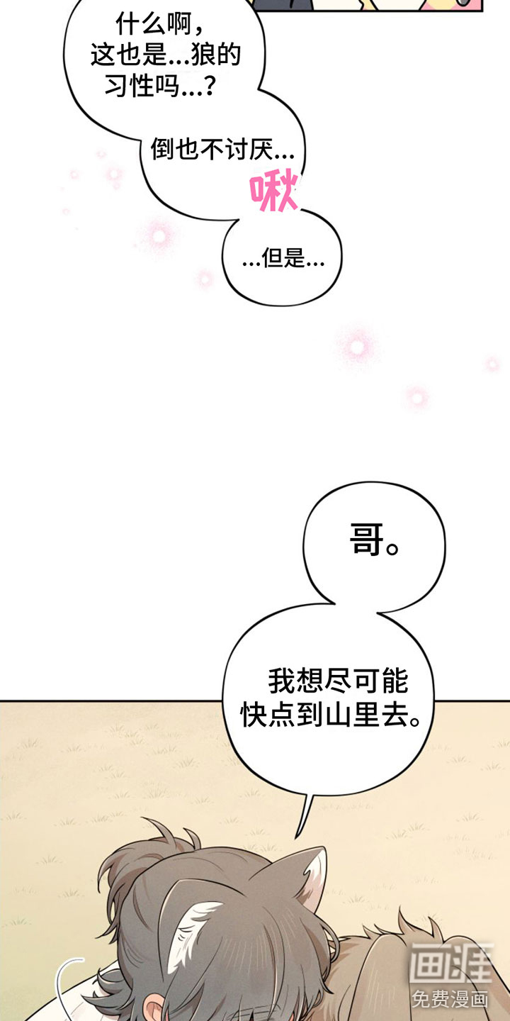 第5话17