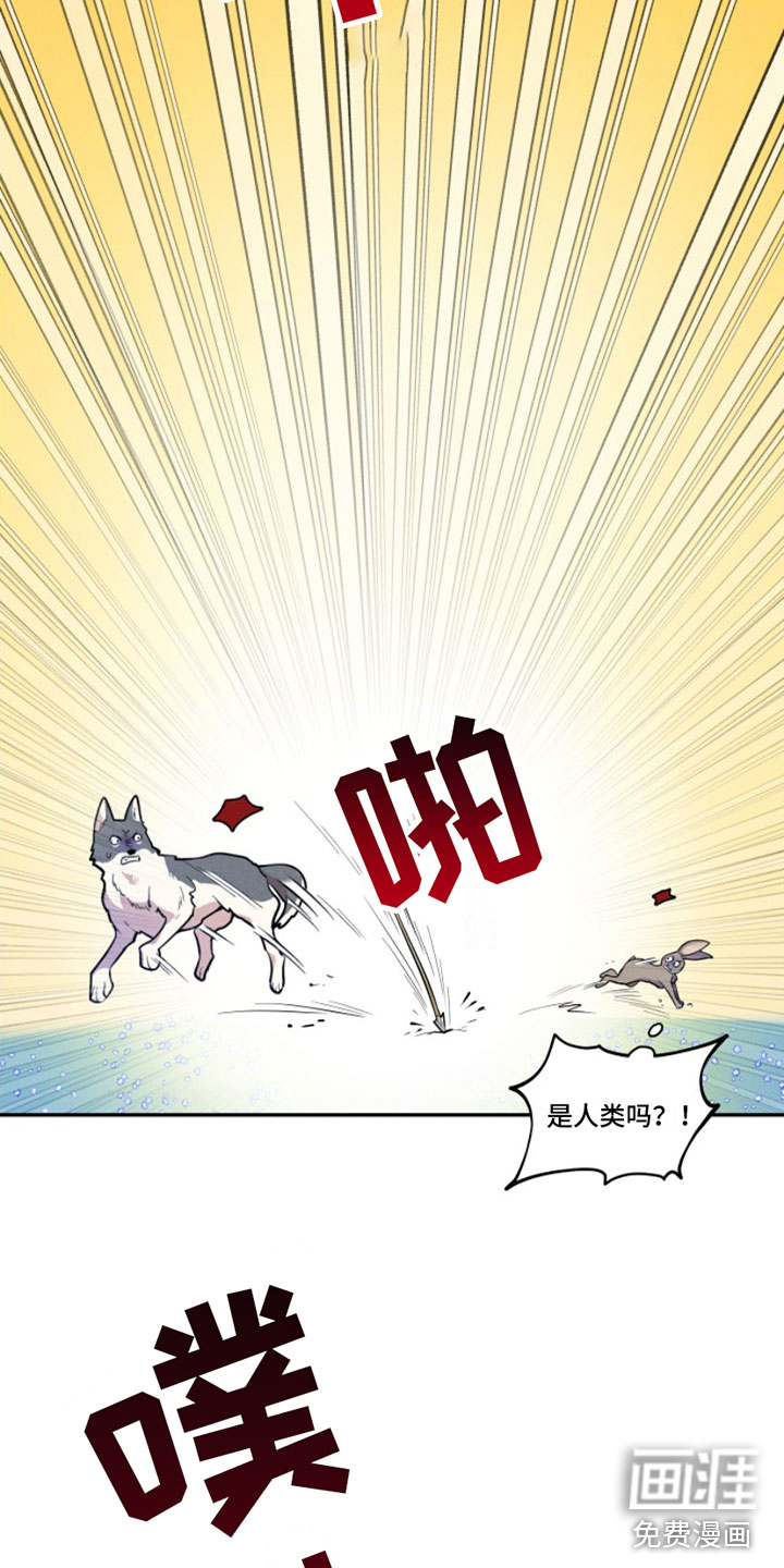 第4话8